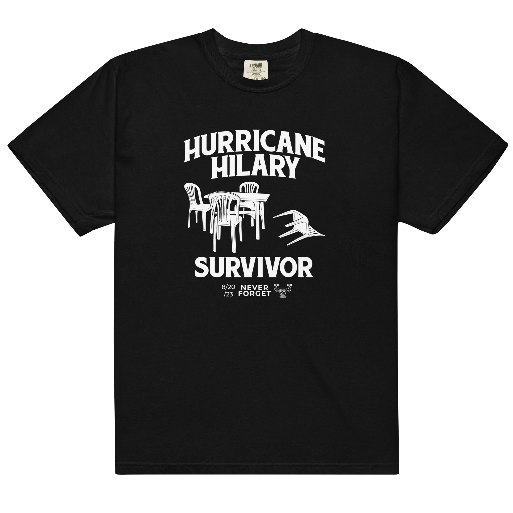 Hurricane Hilary Survivor 2023